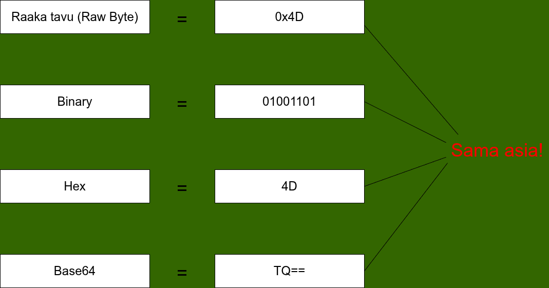 Formaatit havainnollistettu